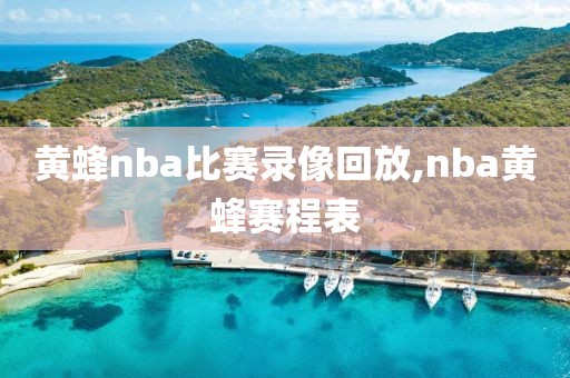 黄蜂nba比赛录像回放,nba黄蜂赛程表