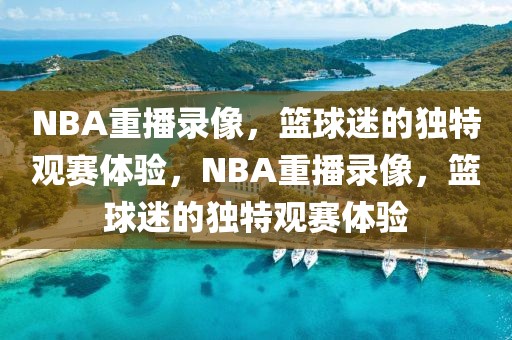 NBA重播录像，篮球迷的独特观赛体验，NBA重播录像，篮球迷的独特观赛体验