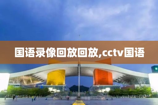 国语录像回放回放,cctv国语