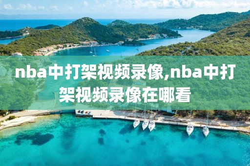 nba中打架视频录像,nba中打架视频录像在哪看