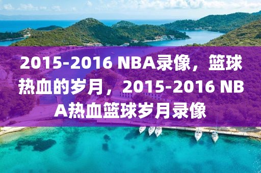 2015-2016 NBA录像，篮球热血的岁月，2015-2016 NBA热血篮球岁月录像