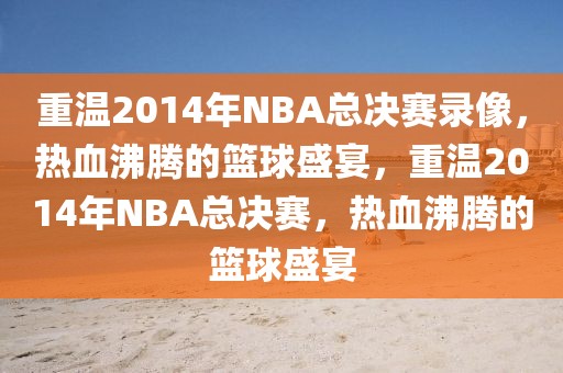 重温2014年NBA总决赛录像，热血沸腾的篮球盛宴，重温2014年NBA总决赛，热血沸腾的篮球盛宴