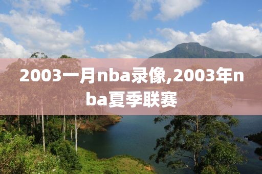 2003一月nba录像,2003年nba夏季联赛