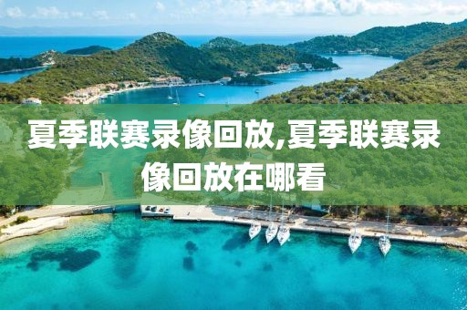 夏季联赛录像回放,夏季联赛录像回放在哪看