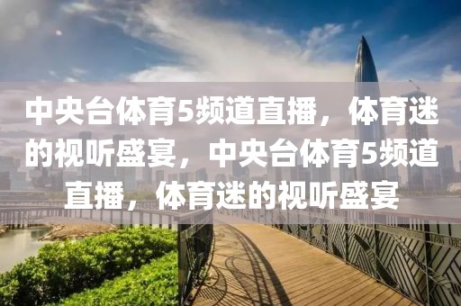 中央台体育5频道直播，体育迷的视听盛宴，中央台体育5频道直播，体育迷的视听盛宴