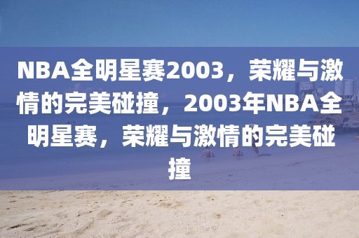 NBA全明星赛2003，荣耀与激情的完美碰撞，2003年NBA全明星赛，荣耀与激情的完美碰撞