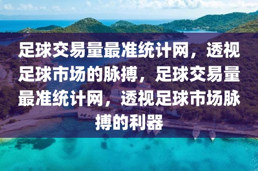 足球交易量最准统计网，透视足球市场的脉搏，足球交易量最准统计网，透视足球市场脉搏的利器