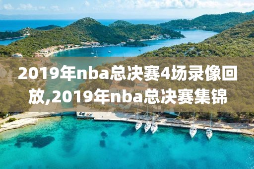 2019年nba总决赛4场录像回放,2019年nba总决赛集锦