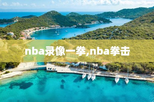 nba录像一拳,nba拳击