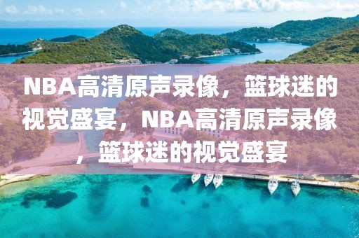 NBA高清原声录像，篮球迷的视觉盛宴，NBA高清原声录像，篮球迷的视觉盛宴