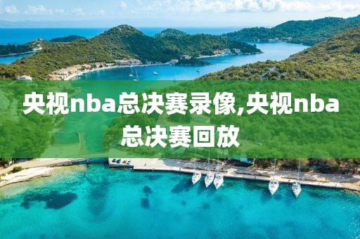 央视nba总决赛录像,央视nba总决赛回放