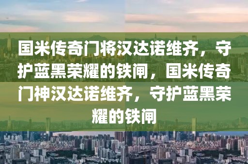 国米传奇门将汉达诺维齐，守护蓝黑荣耀的铁闸，国米传奇门神汉达诺维齐，守护蓝黑荣耀的铁闸