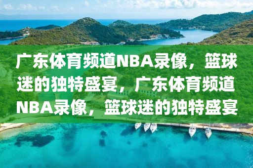 广东体育频道NBA录像，篮球迷的独特盛宴，广东体育频道NBA录像，篮球迷的独特盛宴