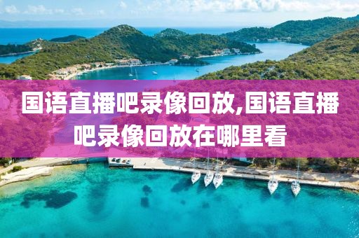 国语直播吧录像回放,国语直播吧录像回放在哪里看