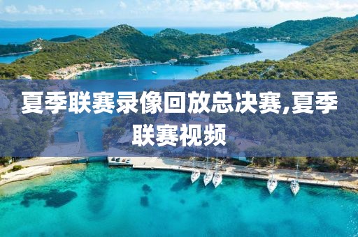 夏季联赛录像回放总决赛,夏季联赛视频