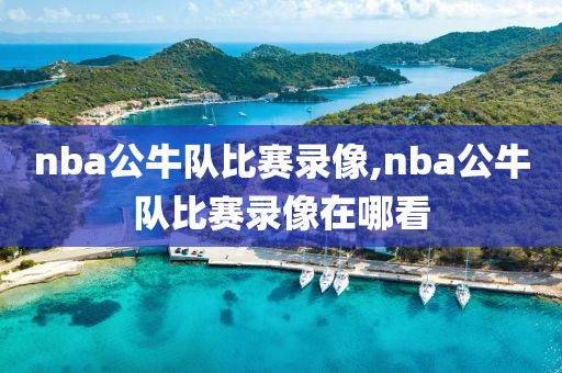 nba公牛队比赛录像,nba公牛队比赛录像在哪看